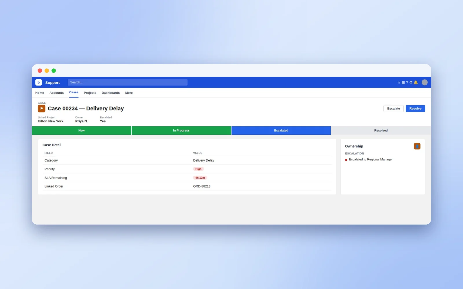 Customer Issue Management